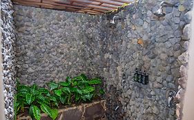 Lost Iguana Resort And Spa